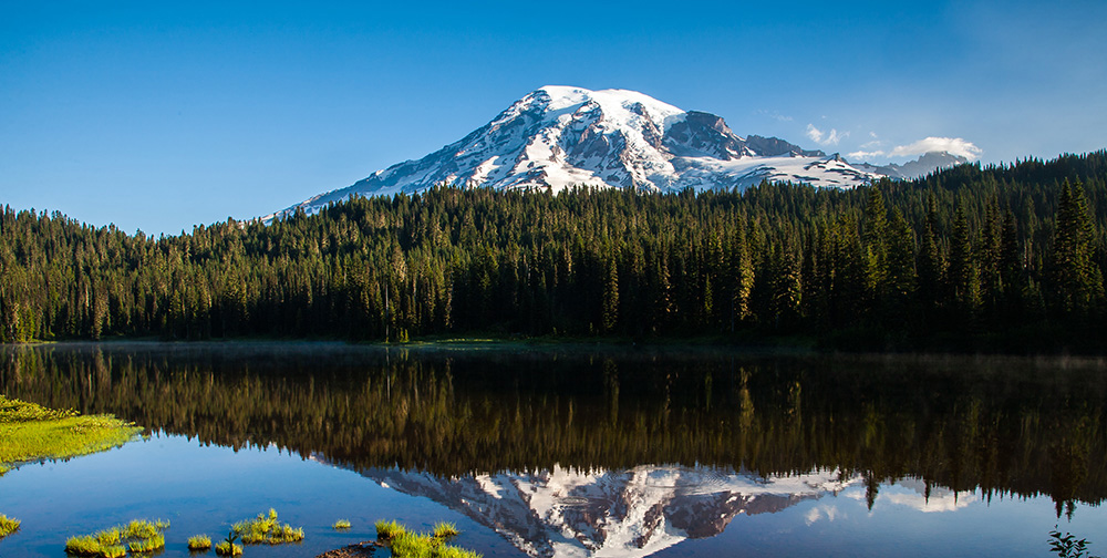 Mount Rainier with snow-covered peaks, reflected in a calm lake surrounded by dense green forest under a clear blue sky.